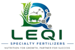 Wuhan Leqi Trading Co., Ltd.